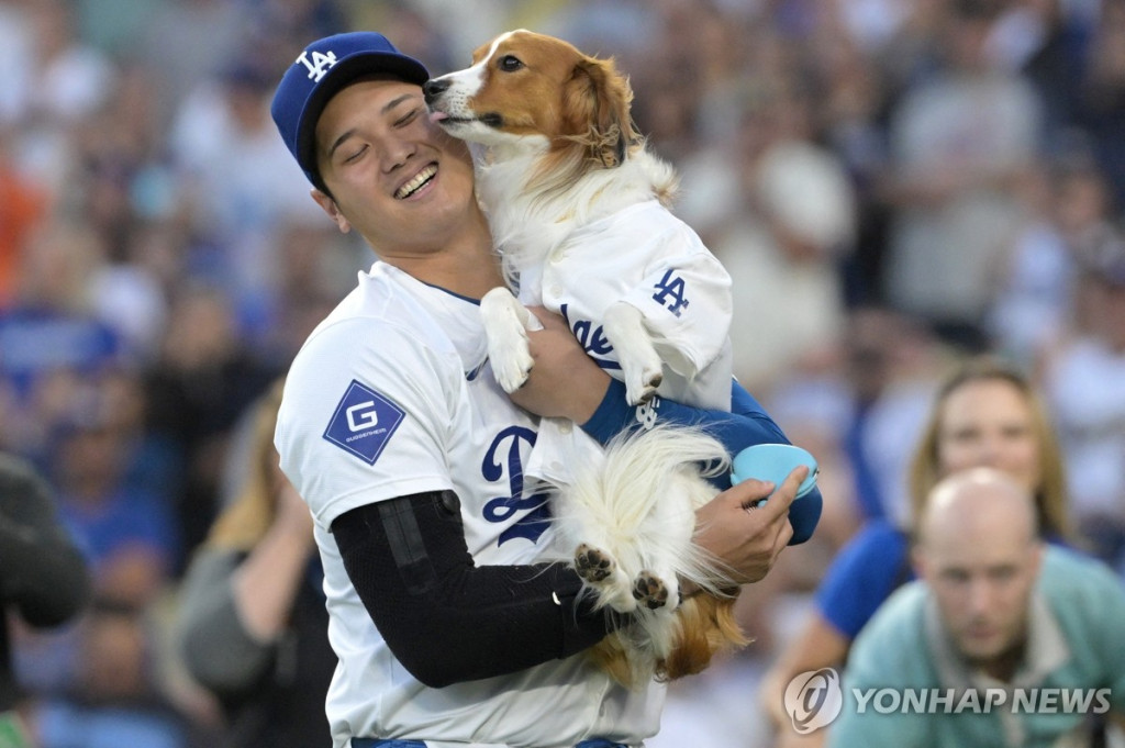 미국프로야구(MLB) 로스앤젤레스(LA) 다저스에서 활약하는 일본 야구스타 오타니 쇼헤이가 28일(현지시간) LA 다저스타디움에서 열린 볼티모어 오리올스와의 경기에 앞서 자신의 반려견인 데코이를 안고 행복한 표정을 짓고 있다. 이날 오타니는 시즌 42호 홈런포를 터트렸다. [로이터=연합]