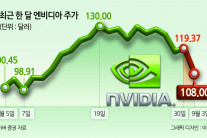 또 엔비디아 쇼크, 하루만에 시총 2790억달러 증발…AI 비관론에 반독점 수사 악재 겹쳐