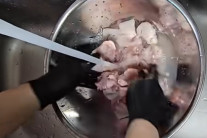 “생닭 제발 물에 씻지 마세요” 현미경 봤더니 ‘드글드글’ 이것에 충격