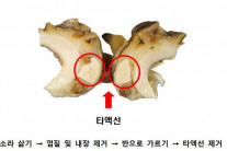 [리얼푸드] 내장만 제거하면 끝? 제철 소라, 독소는 여기에도 있다