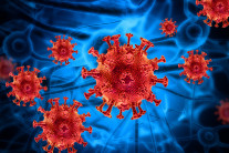 “동남아 여행 주의보”…1급 감염병 ‘니파 바이러스’ 백신도 없어