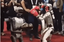 [영상]로봇이 가드 올리고 잽·로우킥…중국서 세계 첫 로봇격투대회