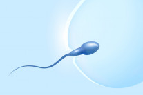 정자 기부했다가 자녀 50명…“일주일에 한명씩 새로 연락와”