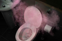 “변기에서 절대 휴대폰 보지 마세요”…자세히 봤더니 ‘끔찍’