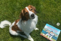 작가로 변신한 오타니…반려견 데코이 주인공으로 아동도서 집필