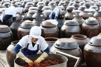 “전통간장과 통합? 절대 안 돼” 농식품부도 반발한 간장 논란 [식탐]