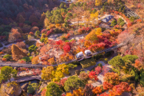 곤지암 화담숲에 내장단풍,당단풍,네군도단풍 다 모였다