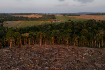 트럼프 이번엔 “‘콩’을 다시 위대하게” 외쳤다…중국에 쩔쩔매는 까닭 [디브리핑]