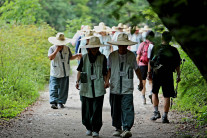 “한번에 10분 이상 걸었더니”…놀라운 효과, 확연히 달랐다