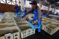 중국 “일본산 수산물 수입 중지 통보”…일본에 추가 보복