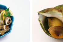 “골뱅이 다 사가는 한국에 큰일 없길” 매일 기도하는 영국인[식탐]