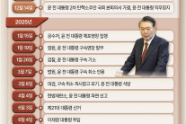 비상계엄→탄핵→조기대선→정권교체…헌정사상 초유의 사태 “1년이 숨가빴다”