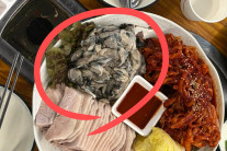 “추울 때는 괜찮다” 안심하고 먹었는데, 생굴의 실상 ‘충격’…몰랐던 유해물질 ‘수두룩’