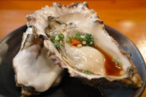 “한국산 먹고 구토·설사…판매 중단” 식중독 ‘비상’ 걸린 이 나라