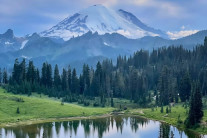 시애틀 와인·미식축제 ‘테이스트 워싱턴’ 춘삼월 달군다