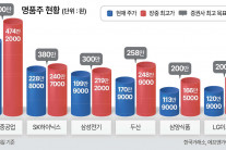 국내 증시 ‘명품주 주가 200만원 이상 시대’ 개막