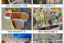 불법 수입 과일·묘목 유통도 처벌…식물방역법 강화