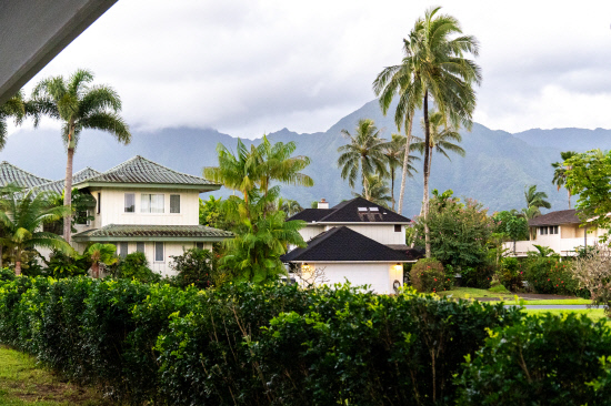 a neighborhood in hawaii