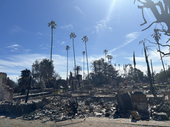 알타데나 산불피해지역