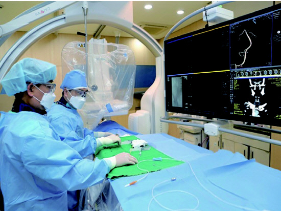 뇌동맥류 사진(800600)