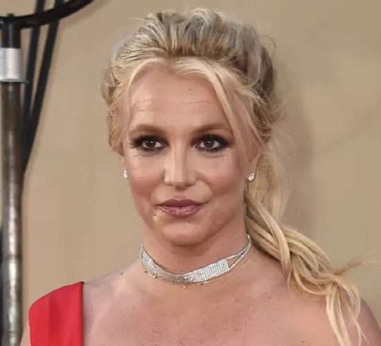 SPEARS