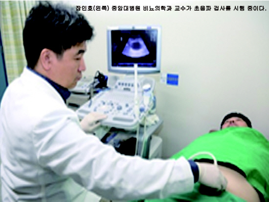혈뇨 장인호교수(800600)